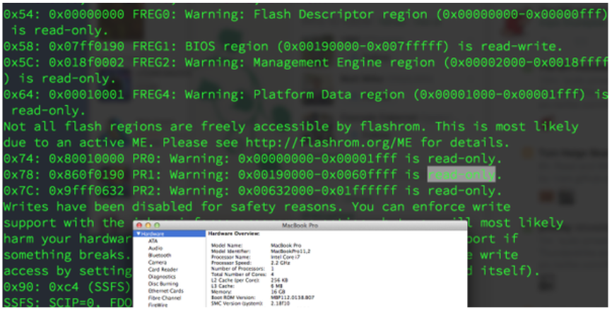 Yolo Virus in tha EFI