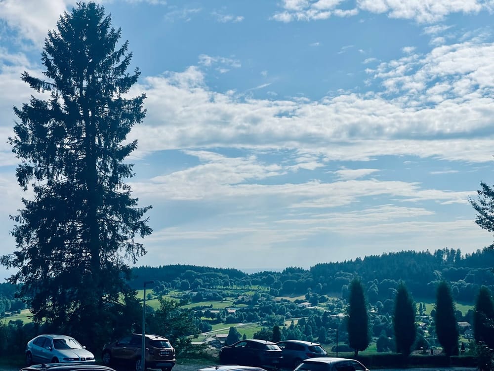 Sommerabenteuer zwischen Salz, Seen und Wäldern